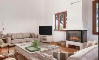 Border design estate with historic olive grove - 1