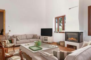 Border design estate with historic olive grove - 3
