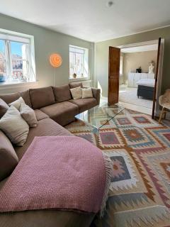 Light apartment with classic details in Copenhagen - 9