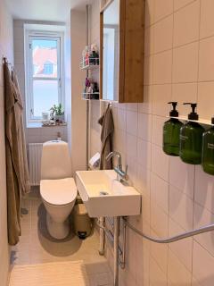 Light apartment with classic details in Copenhagen - 1