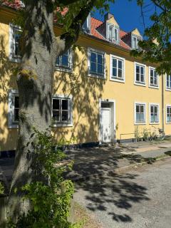 Light apartment with classic details in Copenhagen - 8