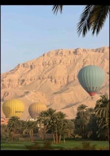 Habiba Apartment - Serene Nature View near Temples - 9