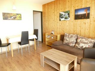 Holiday apartments in Freyung with sauna & swimming pool - 8