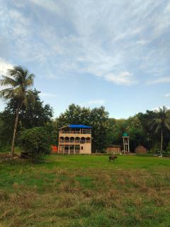 Matu nest resort - 2