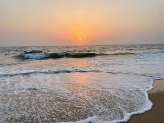Zac Beach Boutique Resort - Calangute - 3