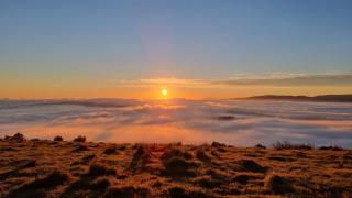 Aorangi Peak Cabins 2 by Tiny Away - 7