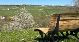 Best Western Hotel Polisina - 9