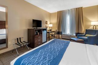 Comfort Inn & Suites Bryant - Benton - 4