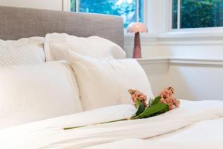 Guest suite in the heart of Kitsilano - 8