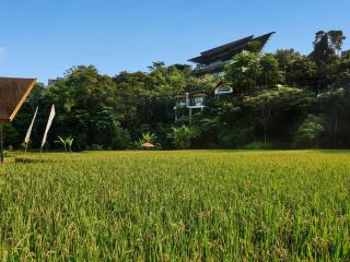 Pullman Ciawi Vimala Hills Resort - 4