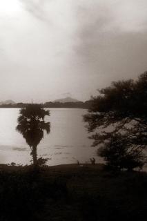 Arachchi Heritage - 1