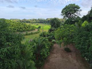 Sandahiru Naturestay - 7