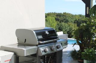 Gite in Gascony - 7