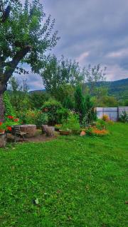 Country House and Cottages - 5