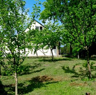 Country House and Cottages - 4