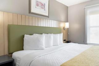 SureStay by Best Western Lewisville Dallas - 5