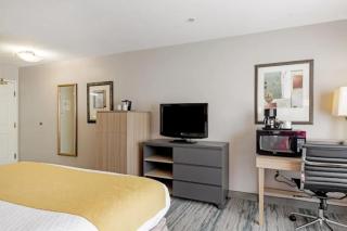 SureStay by Best Western Lewisville Dallas - 3