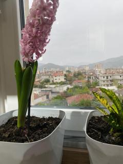 Redi Apartment Center - 9