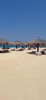 The Waterfront Cabins at D-Bay - 0