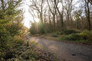 Spacious 5BR Home Near New Forest & Coast - Parking - Sleeps 10 - 6