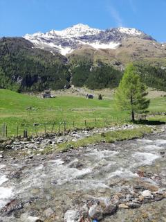 Livigno Amazing Clara Apartment 4-room - 3