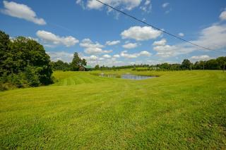Stay at a Christmas Tree Farm & Enjoy the Serenity - 8