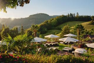 Hotel Dollenberg - 6