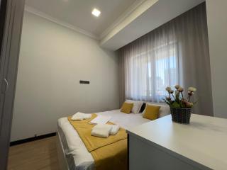New Premium Building 10th floor Pap Tagavor str - 5