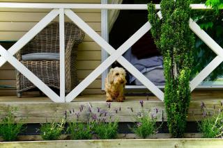 Willowtree Cottage Gated Country Luxury Near Lincoln Uni & Wedding Venues - 3