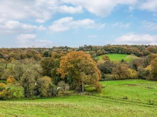 Chestnut Cottage - 2