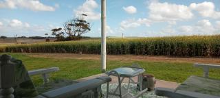 Ou Werf Farm Cottage - 4