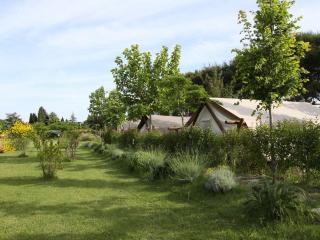 Glamping Agricampeggio Tognoni - La Sdriscia - 7