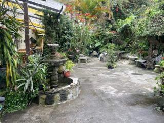 Jardin De Mariane - 7