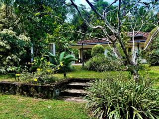 Luminosium Forest Villas & Arrival Sanctuary - 1