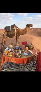 Overnight camping at white desert , white desert safari trip - 7