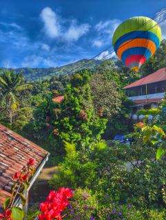 Bougainvillea Homestay Munnar - 1