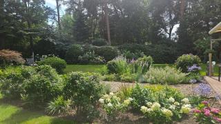 B&B De Merel - 9
