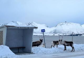 WonderInn Arctic - 6