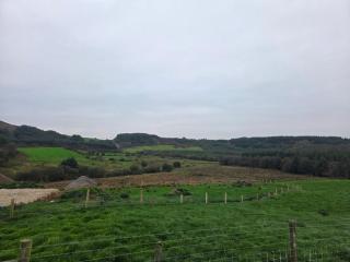 Derryleigh Manor - 4