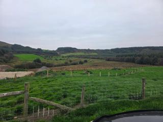 Derryleigh Manor - 1