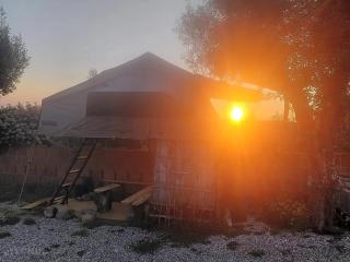N2 Overlander Lodge - 1