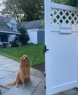 Maple Hill Farm Bed & Breakfast - 7
