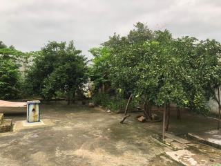 Parvati Home Stay - 1