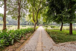 Park-Facing Cozy 3BHK in Saket, near Select CityWalk - 5