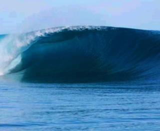 Telosforeshousesurf - 9