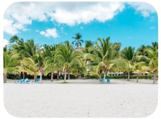 Zona Exclusiva De Playa, Áreas Sociales con Piscinas, Jacuzzi, Gazebos, Zonas de BBQ - Parqueo, Wifi, Netflix - Playa Juan Dolio, RD - Apartamentos de 2 y 3 Dormitorios - 8