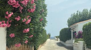 LA CALMA Espectacular villa con jardín y piscina en Menorca - 7