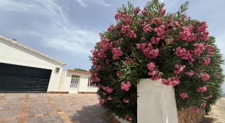 LA CALMA Espectacular villa con jardín y piscina en Menorca - 6