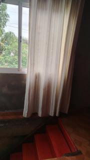 La casita de la selva - 0
