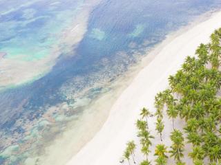 South Palms Resort and Spa Panglao - MGallery Collection - 5